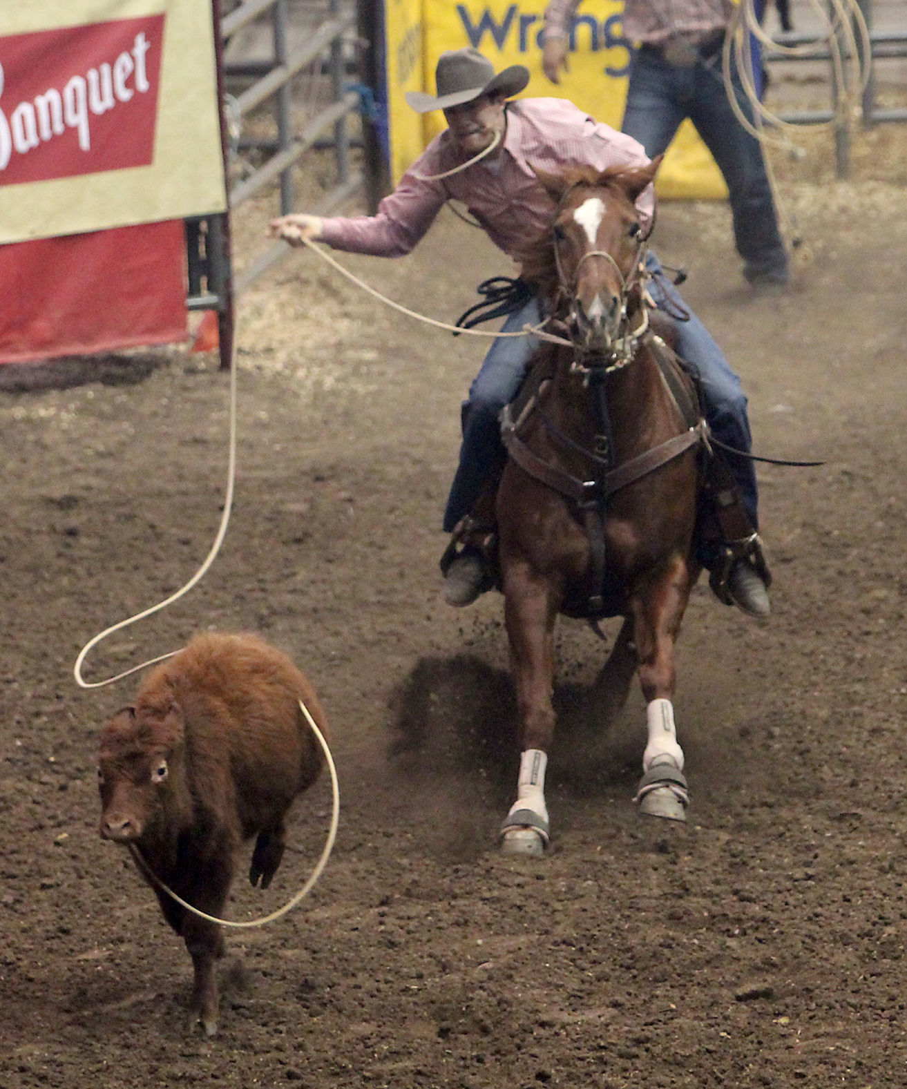 Rodeo 11.jpg